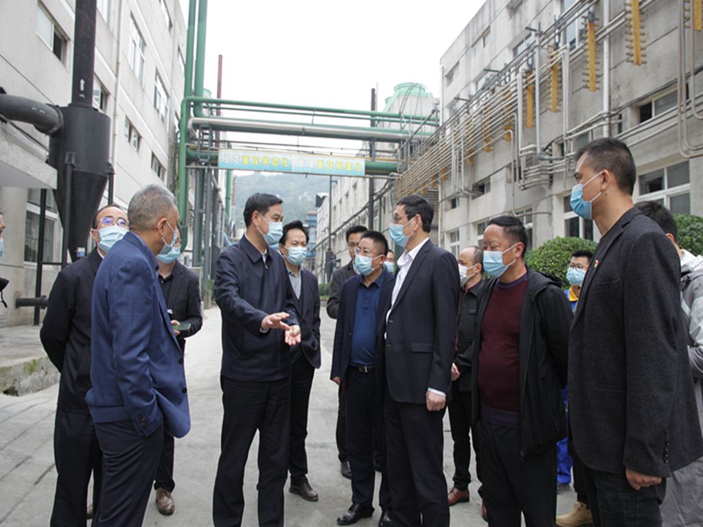 1607929604597666.jpg 1-1张市长调研_副本.jpg